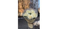 Товар 6027