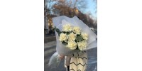 Товар 6029